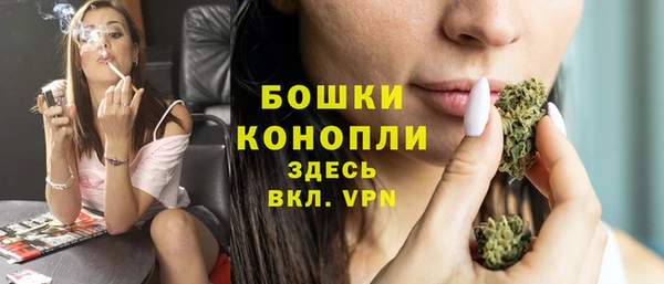 прущие грибы Туринск
