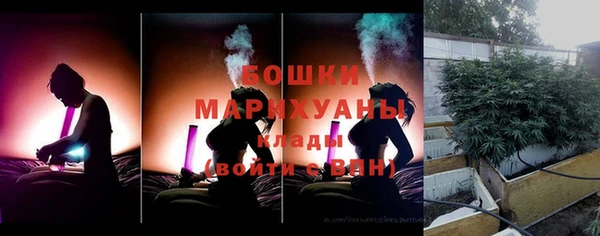 скорость Ладушкин