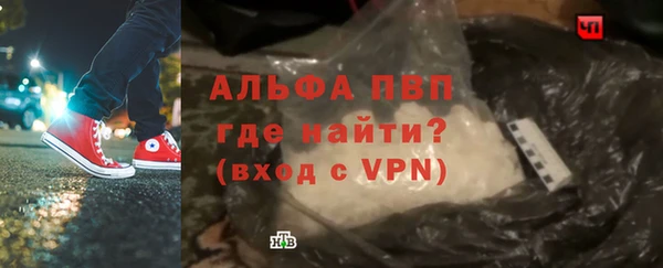 прущие грибы Верея