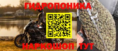 скорость Кандалакша